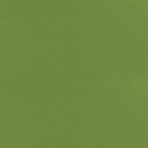 PO Forest | 6432
